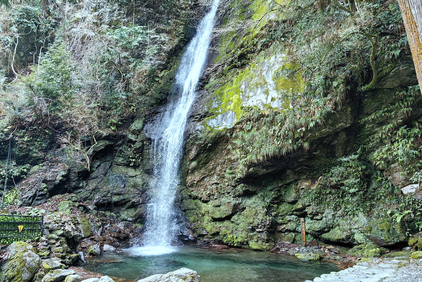 德島-祖谷藤蔓吊橋